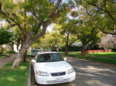 Enlarge photo 1