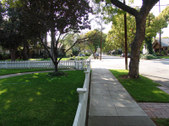 Enlarge photo 14