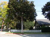 Enlarge photo 25