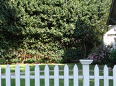 Enlarge photo 38