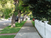 Enlarge photo 43
