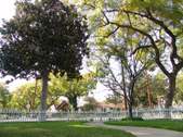 Enlarge photo 49