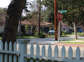 Enlarge photo 58