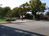 Enlarge photo 61
