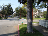 Enlarge photo 62