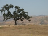 AHMANSON RANCH