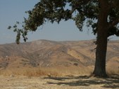 Enlarge photo 17