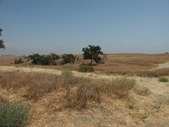 Enlarge photo 21