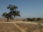 Enlarge photo 28