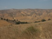 Enlarge photo 29