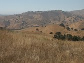 Enlarge photo 30