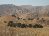 Enlarge photo 31