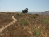 Enlarge photo 32
