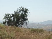 Enlarge photo 33