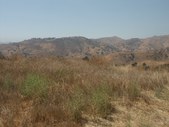 Enlarge photo 34
