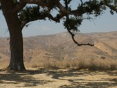 Enlarge photo 35