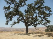 Enlarge photo 36