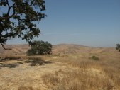 Enlarge photo 37