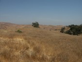Enlarge photo 38