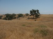 Enlarge photo 39
