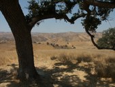 Enlarge photo 40