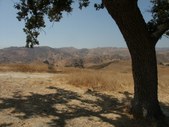 Enlarge photo 41
