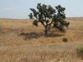 Enlarge photo 42