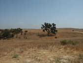 Enlarge photo 43