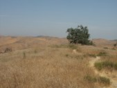 Enlarge photo 44
