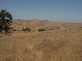Enlarge photo 45