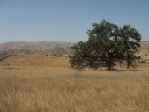 Enlarge photo 46