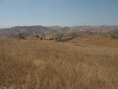 Enlarge photo 47