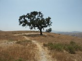 Enlarge photo 48