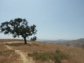 Enlarge photo 49