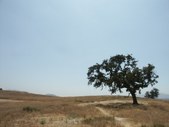 Enlarge photo 51