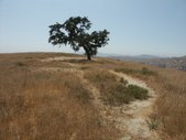 Enlarge photo 52