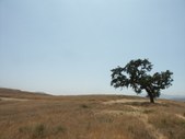 Enlarge photo 53