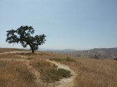 Enlarge photo 54