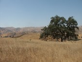 Enlarge photo 55