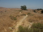 Enlarge photo 56