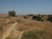 Enlarge photo 57