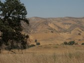 Enlarge photo 58
