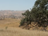 Enlarge photo 59
