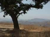 Enlarge photo 61