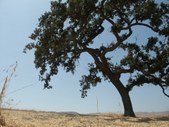 Enlarge photo 63