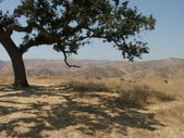 Enlarge photo 64