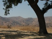 Enlarge photo 65