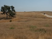 Enlarge photo 67
