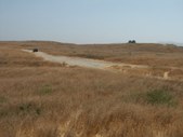 Enlarge photo 68