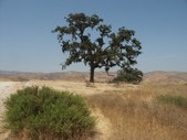 Enlarge photo 72